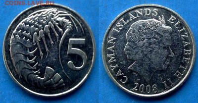 Каймановы острова - 5 центов 2008 года (Фауна) до 10.04 - Каймановы острова 5 центов, 2008