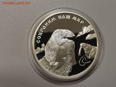 раним наш мир Полярный медведь, серебро. Ag900, до 10.04 - Y ПОЛЯРНЫЙ МЕДВЕДЬ-1