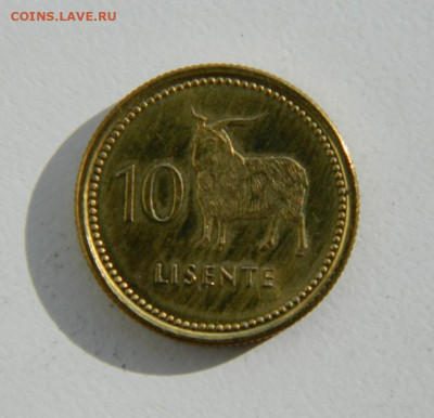 Лесото 10 лисенте 1998 г. (Фауна). до 07.04.22 - DSCN4448.JPG