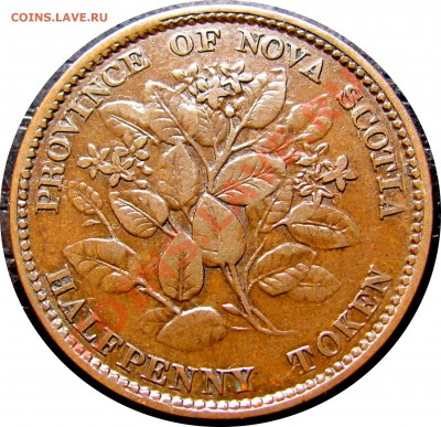 2 пенни 1856 F-VF до 22.11 в 22°° - D86 halfpenny Nova Scotia 1856_2