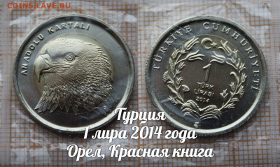 Монеты Турции 2009-2016 Красная книга. Фикс. До 6.04. в22:00 - 1