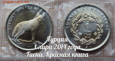Монеты Турции 2009-2016 Красная книга. Фикс. До 6.04. в22:00 - 2