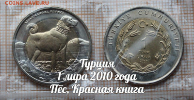 Монеты Турции 2009-2016 Красная книга. Фикс. До 6.04. в22:00 - 8