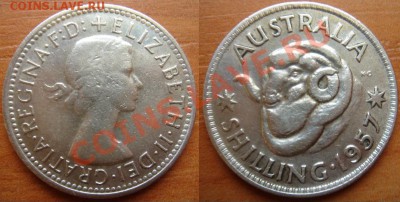 Австралия: Ag-500 шиллинг 1957 до 22.11.11 22-00 - Шиллинг Австралия-2.JPG