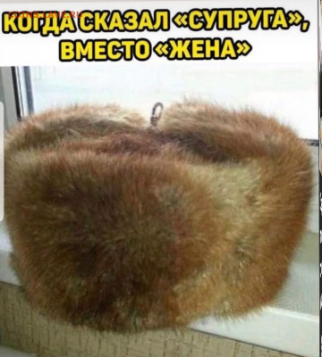юмор - Screenshot_20220406-192013_Instagram