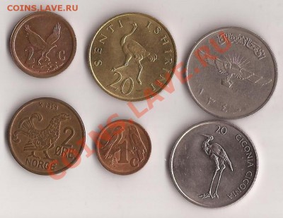 6 монет с птицами №2 до 21.11.11 в 22.00 - Scan 83