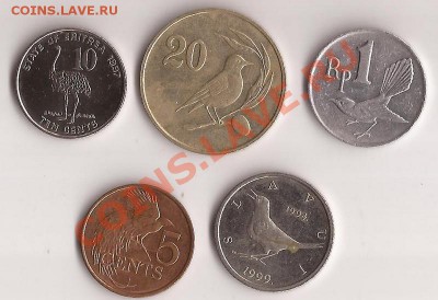 5 монетс птицами №1 до 21.11.11 в 22.00 - Scan 81