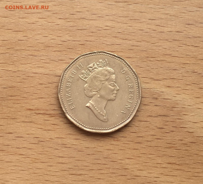 Канада 1 доллар 1994 Гагра птица фауна - IMG_6519.JPG