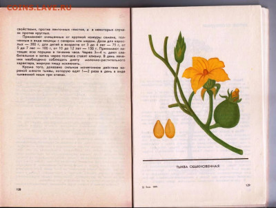 Рекомендации по сбору, пригот 1989 г. до 14.04.22 г. в 23.00 - 038