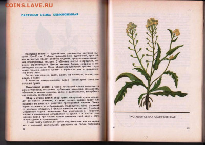 Рекомендации по сбору, пригот 1989 г. до 14.04.22 г. в 23.00 - 039