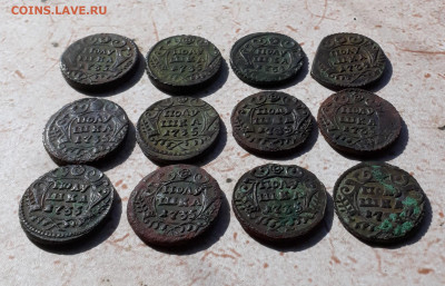 Кладовые полушки 1735 года. 12 монет. До 12.04.22. - 20220408_102532