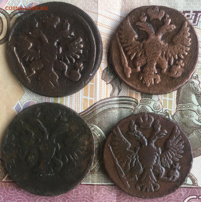 Денга 1731;1737;1748;1750 - 0B347552-571F-444A-B1EB-0DA7905BC0CE