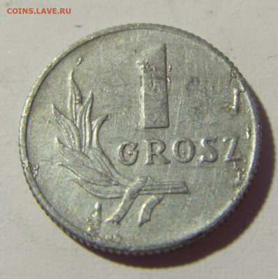 1 грош 1949 Польша №1 15.04.2022 22:00 М - CIMG7835.JPG