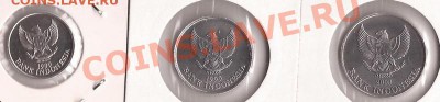 Индонезия 3 птицы в холдерах до 21.11.11 в 22.00 - Scan 90
