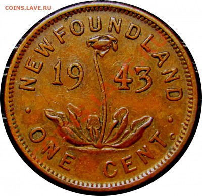 D88 Ньюфаундленд 1¢ 1943 до  22.11 в 22°° - D88 NFLD 1c 1943_1