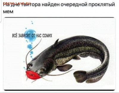 юмор - Screenshot_20220411-072427_WhatsApp
