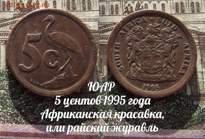 ЮАР 5 центов 1995 Райский журавль. До 13.04. в 22:00 - а