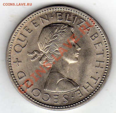 Н.ЗЕЛАНДИЯ ФЛОРИН 1964 КИВИ ДО 21.11.11 В 22.00МСК (901) - img400