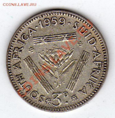 Ag Ю.АФРИКА 3 ПЕНСА 1959 ДО 21.11.11 В 22.00МСК (895) - img411