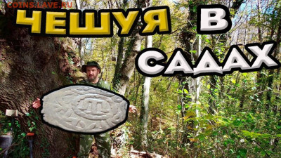 Мой видео канал Копатыч channel - чешуя в садах