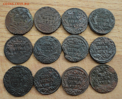 Кладовые полушки 1730,31,34,35,36,37 года. 12 монет. - DSC09624.JPG