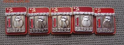 1 разряд Гиревой спорт 5 шт. Фикс до 15,04 в 22,00 - P4138255.JPG