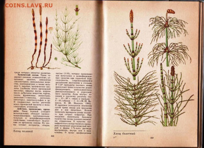 Зелёная аптека в ветеринарии 1987 г. до 19.04.22 г. в 23.00 - 040