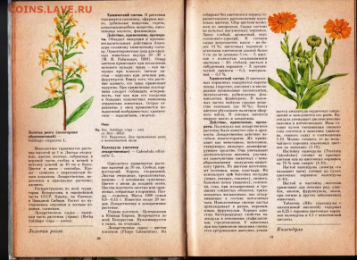 Зелёная аптека в ветеринарии 1987 г. до 19.04.22 г. в 23.00 - 044