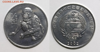 2 чона 2002 г орангутан без оборота - 20.04 - IMG_20220415_180937