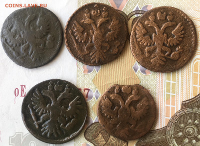 Полушка 1731; 1735 - 0374E6F1-E201-4B97-A3DA-EAEC4F536102