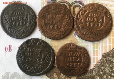 Полушка 1731; 1735 - 7F43B857-20DA-4B84-A0F0-DC9DA29A244D