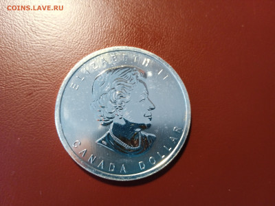 4 oz) - IMG_20220413_140735_1