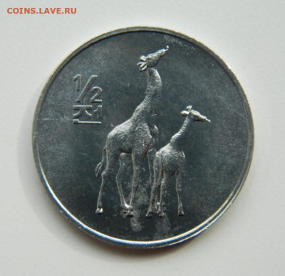 2 чон 2002 г.(Юбилейная) Жирафы до 21.04.22 - DSCN4576.JPG