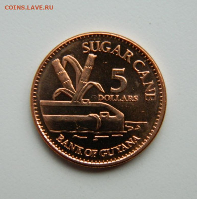 Гайана 5 долларов 2012 г. до 21.04.22 - DSCN4584.JPG