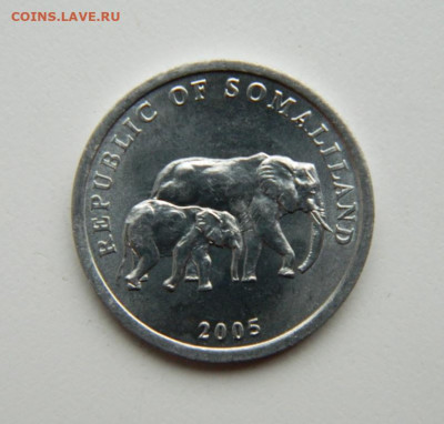 Сомалиленд 5 шиллингов 2005 г.(Фауна) до 21.04.22 - DSCN4628.JPG