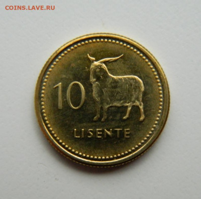 Лесото 10 лисенте 2018 г. (Фауна). до 21.04.22 - DSCN4588.JPG