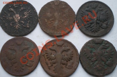 денга 1731-38г.г. - IMGP1960.JPG