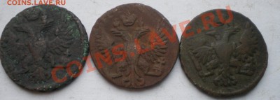 денга 3шт. - IMGP1962.JPG