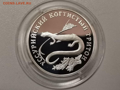 1р 2006 Кр.книга Уссурийский когтистый тритон, до 24.04 - Y КК Тритон-1