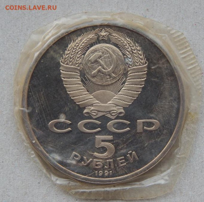 5 рублей  1991 года Архангельский ПРУФ (зайка) - DSCN8022.JPG