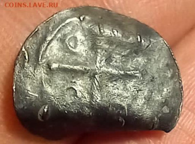 Прошу определить чешуйку - C9243136-F67F-4FB5-BFE2-76C99FBE5352
