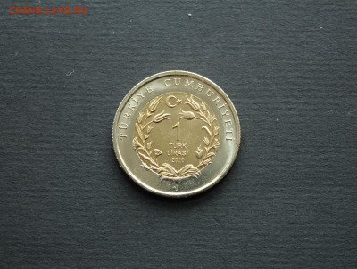 Турция 1 лира 2010 Кошка UNC до 22.04 - IMG_4677.JPG