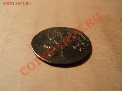 полушка 1783 км до 18.11.11 в 22.00 по мск. вр. - DSC01280.JPG