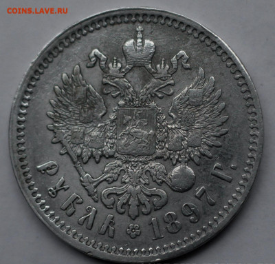 21.04.22 - IMG_2217_cr