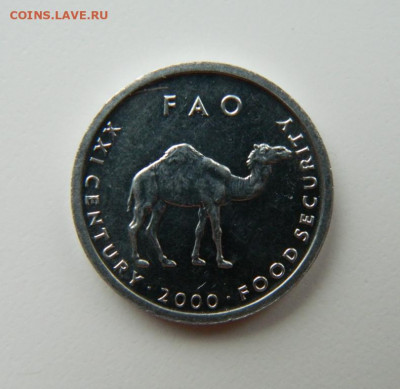 Сомали 10 шиллингов 2000 г.(Юбилейная) Фауна до 25.04.22 - DSCN4718.JPG