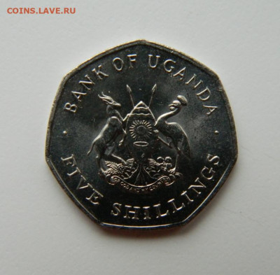 Уганда 5 шиллингов 1987 г. до 25.04.22 - DSCN4784.JPG