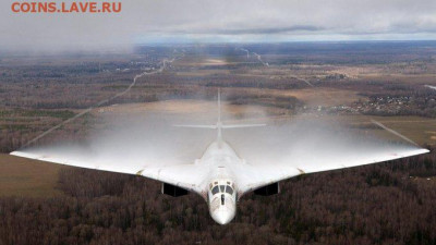юмор - птица мира белый лебедь