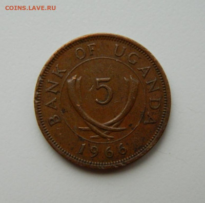 Уганда 5 центов 1966 г. до 27.04.22 - DSCN4888.JPG