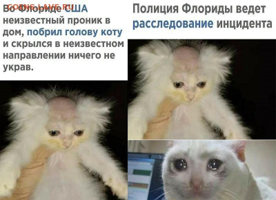юмор - 220421