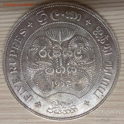 Монеты Цейлона - cejlon_5_rupij_1957_g_2500_let_buddizmu_serebro_original_otlichnyj_sokhran_xf_aunc_30_03_22 (1)